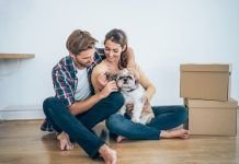 A Thorough Guide to Owning a Dog for First-Timers Dog