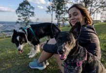 Innovative Ways to Keep on Top of Your Pet’s Health Pet’s Health