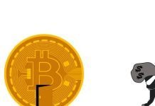 6 Beginner Crypto Investment Errors and How to Avoid Them beginner crypto investment errors