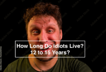 How Long Do Idiots Live? Exploring the Living Impacts & Lifespan How Long Do Idiots Live